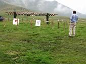 Grande Festa della Montagna e 6° Campionato Cani Pastore per Bovini - FOTOGALLERY